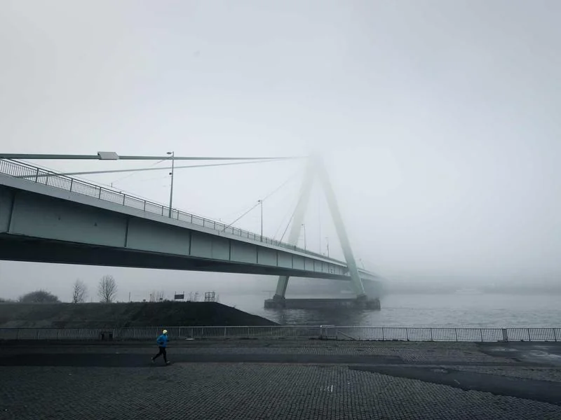 생활의달인 유린기