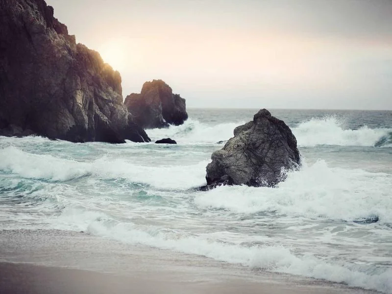 생활의달인 중식