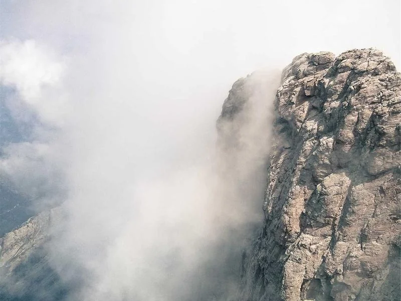 생활의달인 짬뽕 유린기