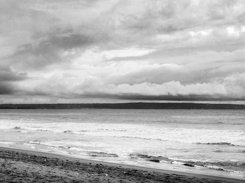 생활의달인 짬뽕 유린기