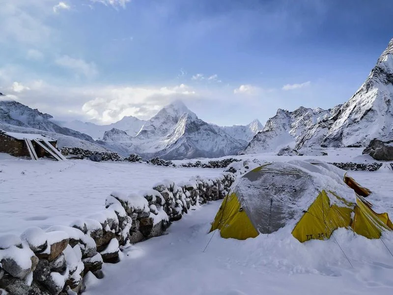 생활의달인 짬뽕 유린기