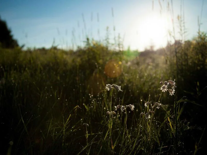 생활의달인 찹쌀떡 고령
