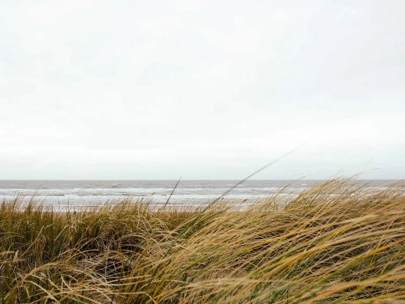 생활의달인 찹쌀떡 부산