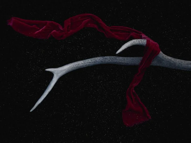 생활의달인 찹쌀떡 인천