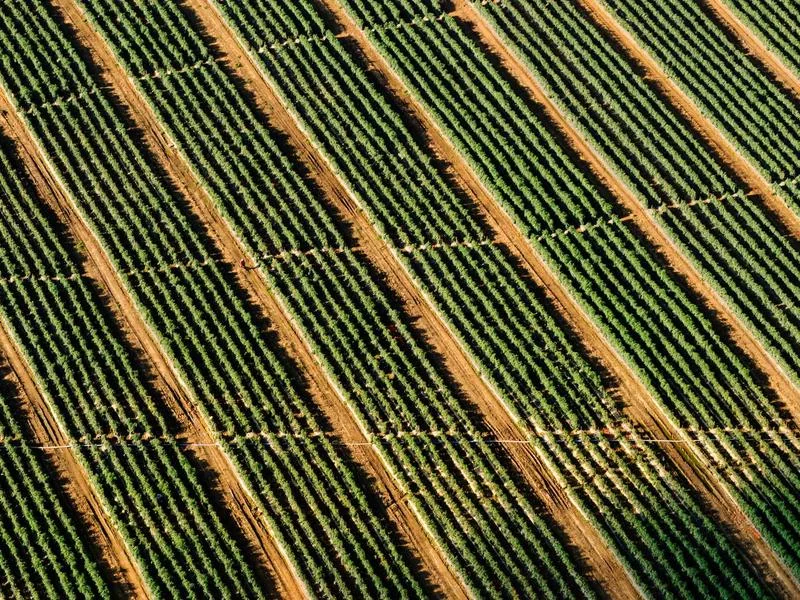 세금계산서 발행