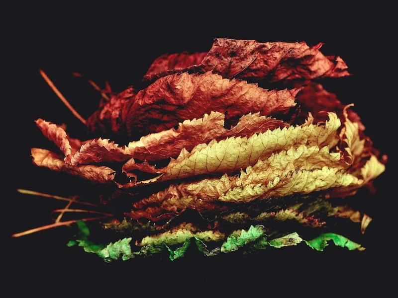 아파트 양도세 계산기