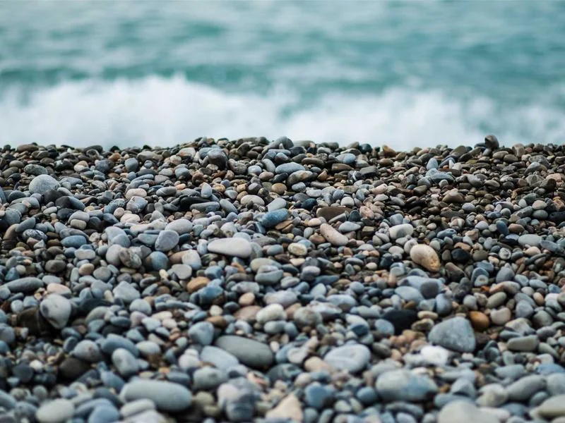 양도세 비과세 조건