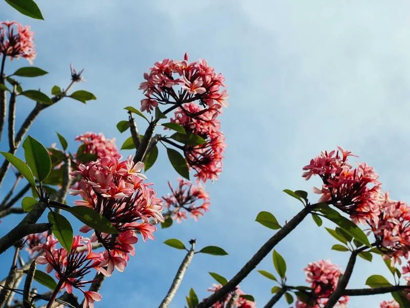 양도세 비과세 조건