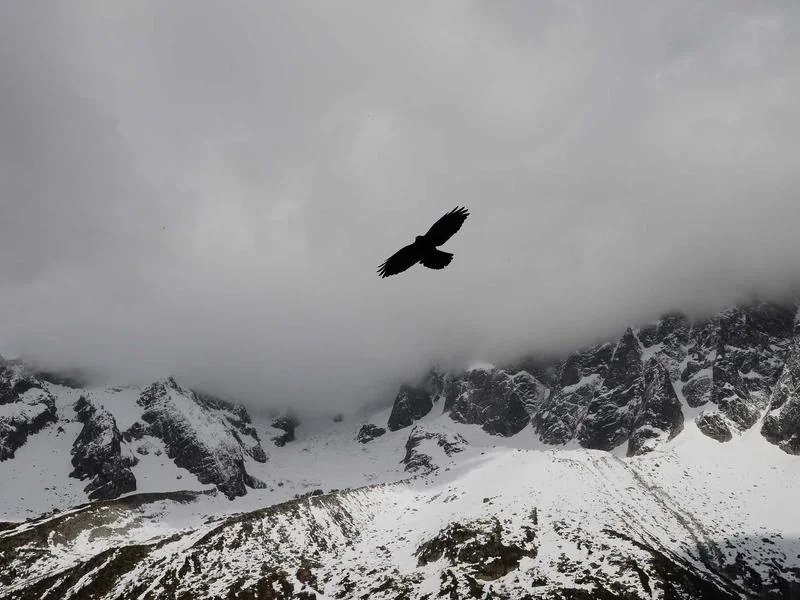 양도세 비과세 조건