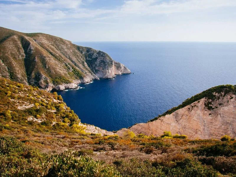 중고차매매사이트