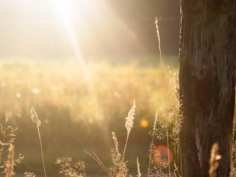 중고차매매사이트