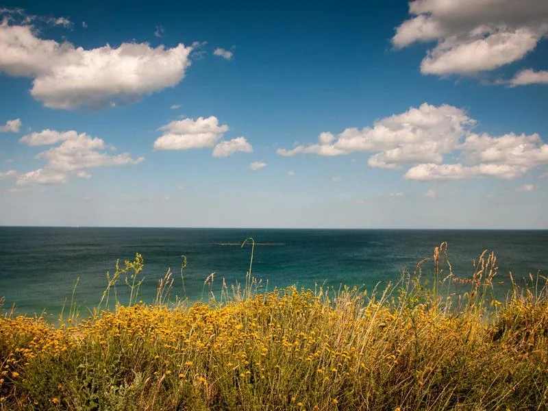 중고차매매사이트