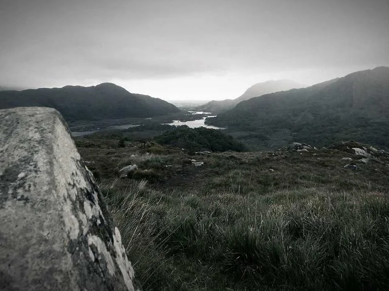 중고차매매사이트