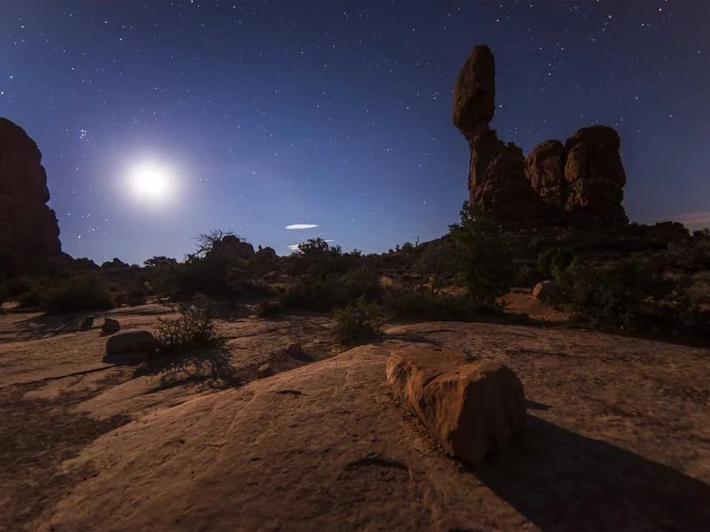 오징어게임 등장인물