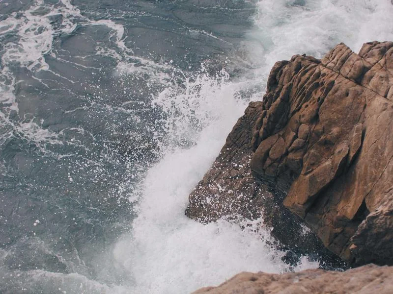 명품브랜드순위