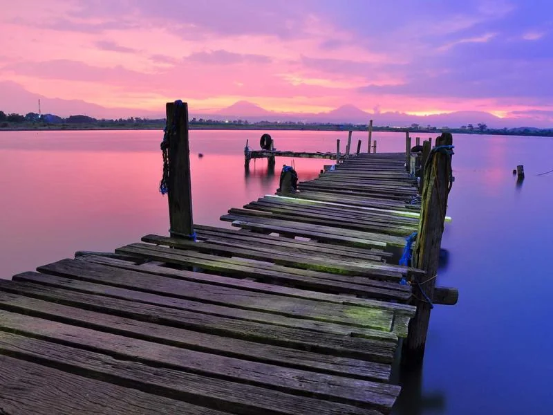 부동산전문변호사