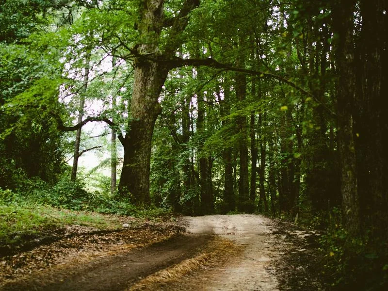 형사전문변호사