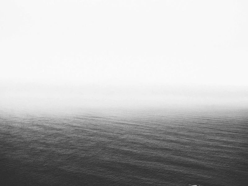 형사전문변호사